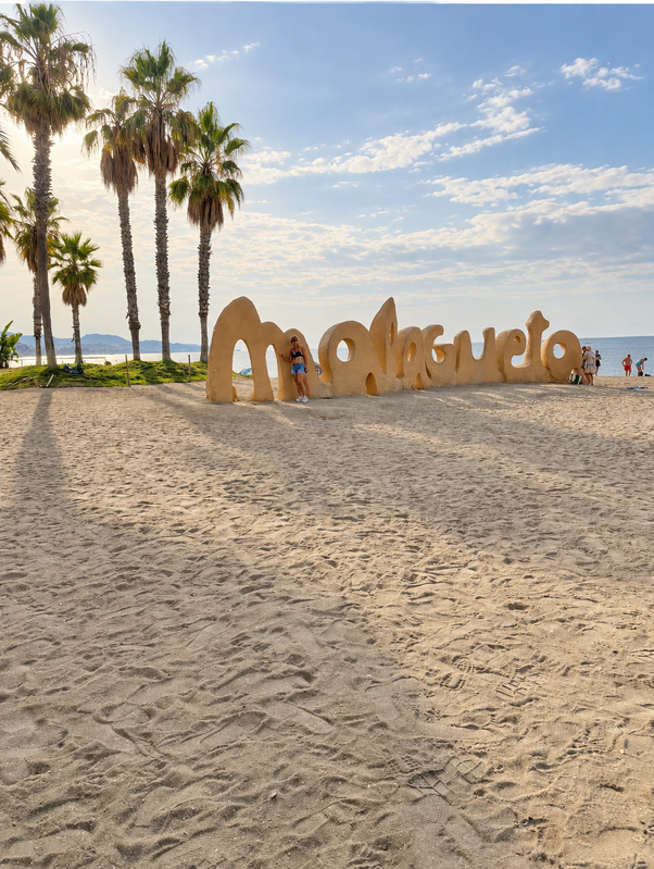 Plage de Málaga bordée de palmiers